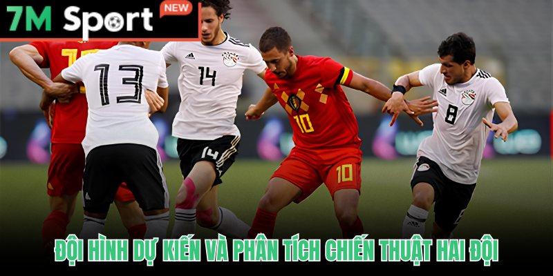 Soi kèo Bỉ vs Ai Cập từ đội hình dự kiến và thế trận chiến thuật